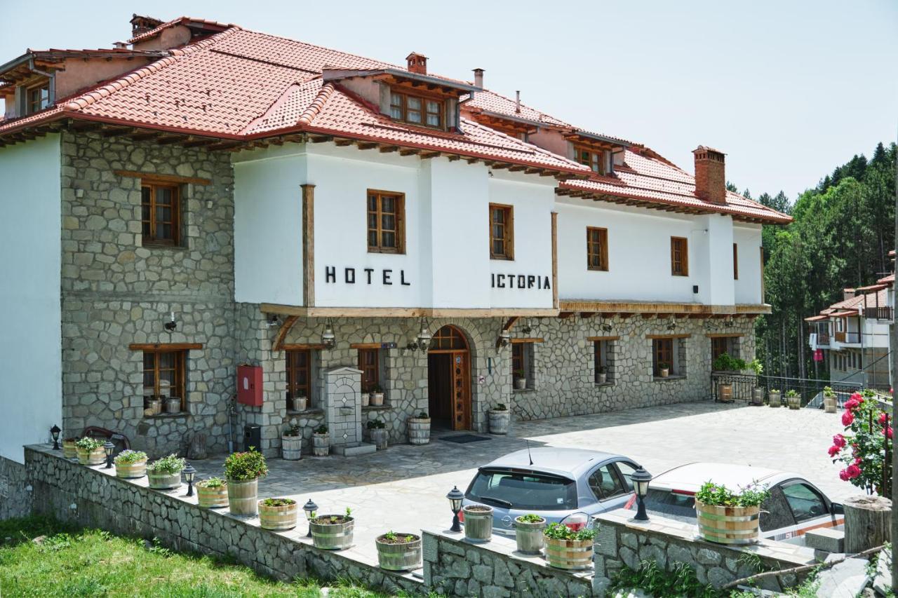 Hotel Victoria Metsovo Luaran gambar