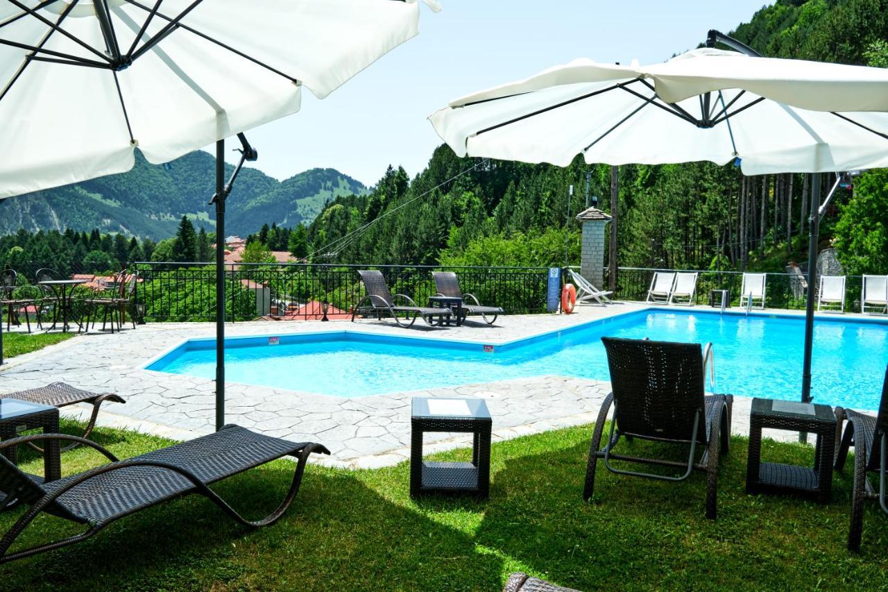 Hotel Victoria Metsovo Luaran gambar
